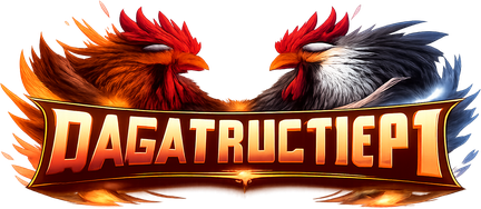dagatructiep1